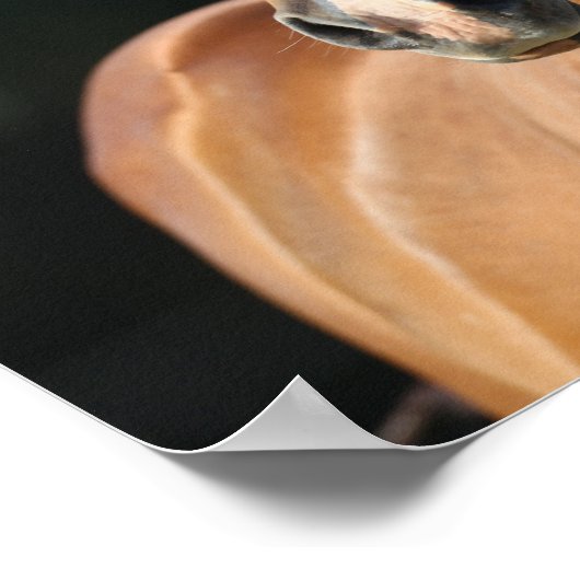 Bob Langrish | Chestnut Quarter Horse Headshot Poster (Hoek)