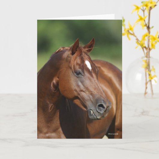 Bob Langrish Chestnut Quarter Horse Mare Headshot Kaart (Gele Bloem)