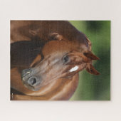Bob Langrish Chestnut Quarter Horse Mare Headshot Legpuzzel (Horizontaal)