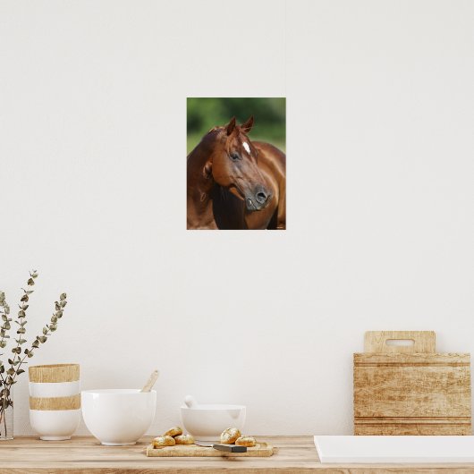Bob Langrish Chestnut Quarter Horse Mare Headshot Poster (Keuken)