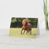 Bob Langrish | Chestnut Shetland Pony Stallion Kaart (Voorkant)