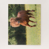Bob Langrish | Chestnut Shetland Pony Stallion Legpuzzel (Verticaal)