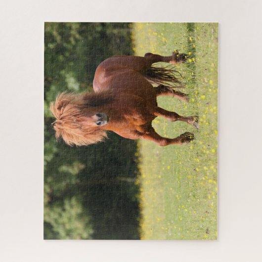 Bob Langrish | Chestnut Shetland Pony Stallion Legpuzzel (Verticaal)