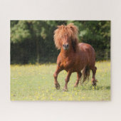 Bob Langrish | Chestnut Shetland Pony Stallion Legpuzzel (Horizontaal)