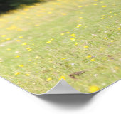 Bob Langrish | Chestnut Shetland Pony Stallion Poster (Hoek)