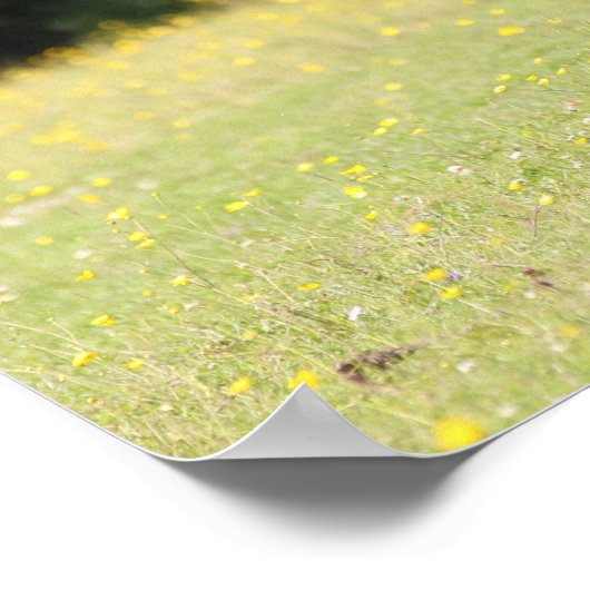 Bob Langrish | Chestnut Shetland Pony Stallion Poster (Hoek)