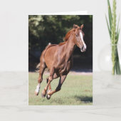 Bob Langrish | Chestnut Tennessee Walker Running Kaart (Voorkant)