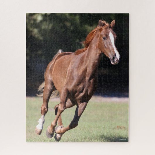 Bob Langrish | Chestnut Tennessee Walker Running Legpuzzel (Verticaal)