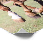 Bob Langrish | Chestnut Tennessee Walker Running Poster (Hoek)