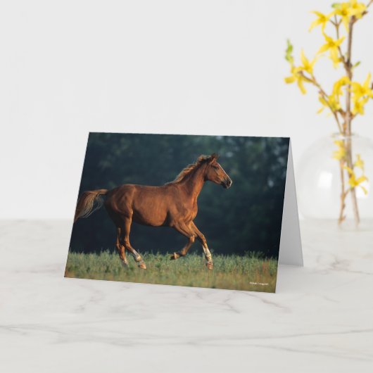 Bob Langrish | Chestnut Warmbloed Kaart (Gele Bloem)