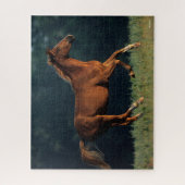 Bob Langrish | Chestnut Warmbloed Legpuzzel (Verticaal)