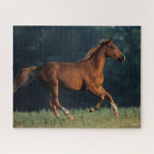 Bob Langrish | Chestnut Warmbloed Legpuzzel (Horizontaal)