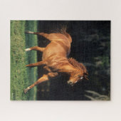 Bob Langrish | Chestnut Warmbloed Mare Running Legpuzzel (Horizontaal)