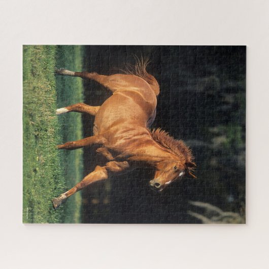 Bob Langrish | Chestnut Warmbloed Mare Running Legpuzzel (Horizontaal)