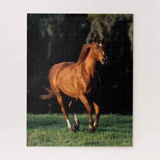 Bob Langrish | Chestnut Warmbloed Mare Running Legpuzzel (Verticaal)