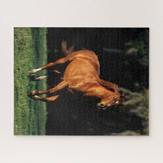 Bob Langrish | Chestnut Warmbloed Mare Running Legpuzzel (Horizontaal)