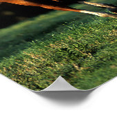 Bob Langrish | Chestnut Warmbloed Mare Running Poster (Hoek)