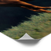 Bob Langrish | Chestnut Warmbloed Poster (Hoek)