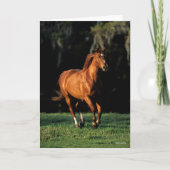Bob Langrish | Chestnut Warmblood Mare Running Kaart (Voorkant)