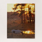 Bob Langrish Chincoteague Horse Grazing at Sunset Legpuzzel (Verticaal)