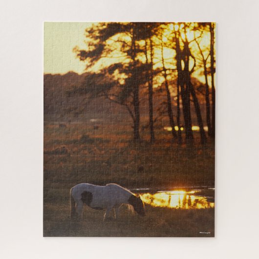 Bob Langrish Chincoteague Horse Grazing at Sunset Legpuzzel (Verticaal)