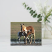 Bob Langrish | Chincoteague Mare and Foal Standing Briefkaart (Staand voorkant)