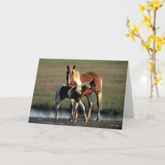 Bob Langrish | Chincoteague Mare and Foal Standing Kaart (Gele Bloem)