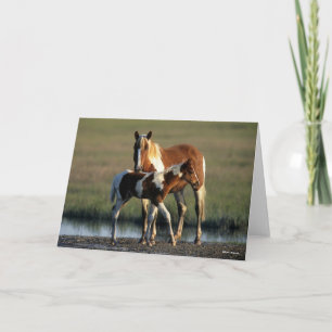 Bob Langrish Chincoteague Mare and Foal Standing Kaart