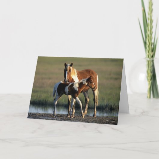 Bob Langrish | Chincoteague Mare and Foal Standing Kaart (Voorkant)