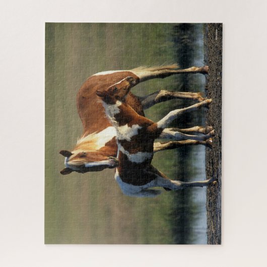 Bob Langrish | Chincoteague Mare and Foal Standing Legpuzzel (Verticaal)