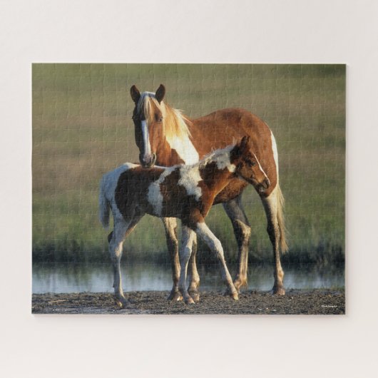 Bob Langrish | Chincoteague Mare and Foal Standing Legpuzzel (Horizontaal)
