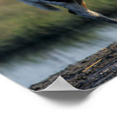 Bob Langrish | Chincoteague Mare and Foal Standing Poster (Hoek)