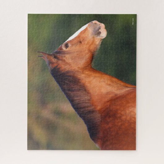 Bob Langrish | Clydesdale Bay-koptekst Legpuzzel (Verticaal)