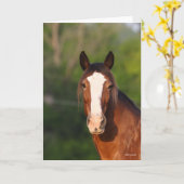 Bob Langrish | Clydesdale headshot Kaart (Gele Bloem)