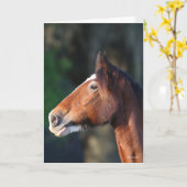 Bob Langrish | Clydesdale headshot Kaart (Gele Bloem)