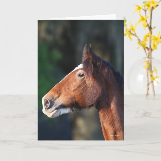 Bob Langrish | Clydesdale headshot Kaart (Gele Bloem)