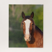 Bob Langrish | Clydesdale headshot Legpuzzel (Verticaal)