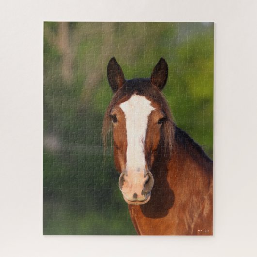 Bob Langrish | Clydesdale headshot Legpuzzel (Verticaal)