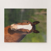 Bob Langrish | Clydesdale headshot Legpuzzel (Horizontaal)