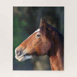 Bob Langrish Clydesdale headshot Legpuzzel