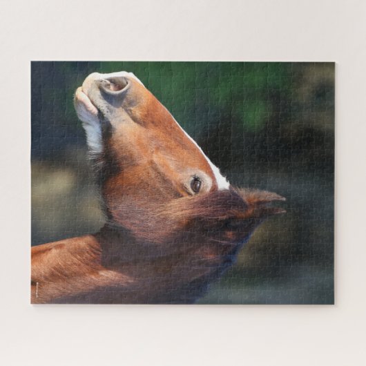 Bob Langrish | Clydesdale headshot Legpuzzel (Horizontaal)