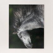 Bob Langrish | Dapple Gray Andalucian headshot Legpuzzel (Verticaal)