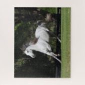 Bob Langrish | Dapple Gray Andalucian Running Legpuzzel (Verticaal)