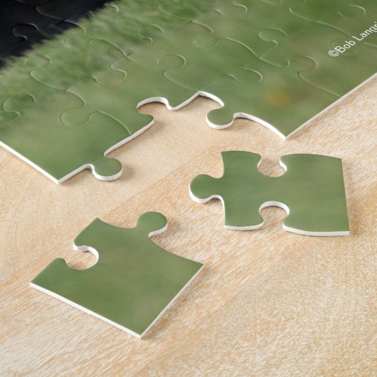 Bob Langrish | Dapple Gray Andalucian Running Legpuzzel (Zijkant)