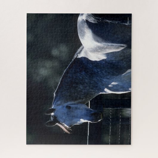 Bob Langrish | Dapple Gray Arab Headshot Backlit Legpuzzel (Verticaal)