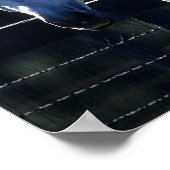 Bob Langrish | Dapple Gray Arab Headshot Backlit Poster (Hoek)