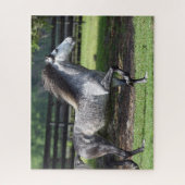 Bob Langrish | Dapple Gray Lusitano Stallion Legpuzzel (Verticaal)