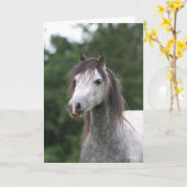 Bob Langrish | Dapple Gray Welsh Pony Headshot Kaart (Gele Bloem)