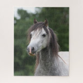Bob Langrish | Dapple Gray Welsh Pony Headshot Legpuzzel (Verticaal)
