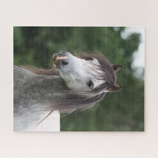 Bob Langrish | Dapple Gray Welsh Pony Headshot Legpuzzel (Horizontaal)